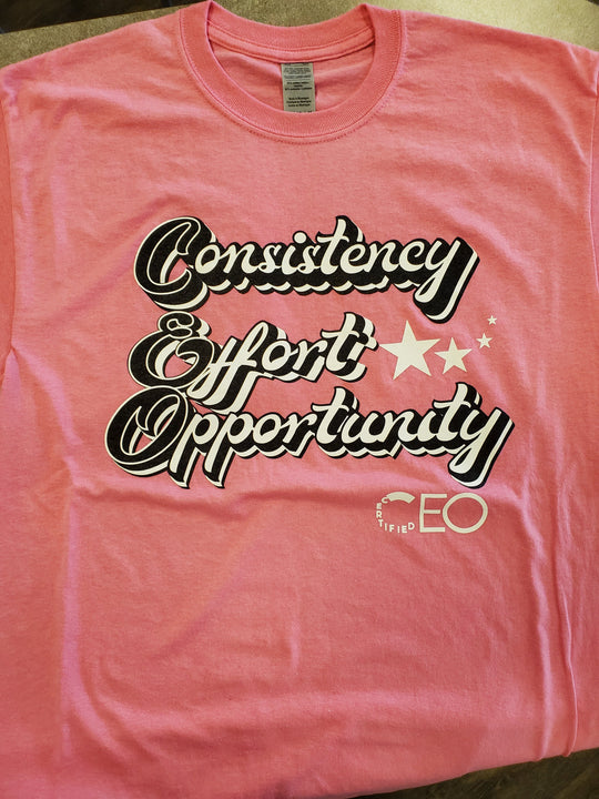 Consistency Effort Opportunity(Vintage)